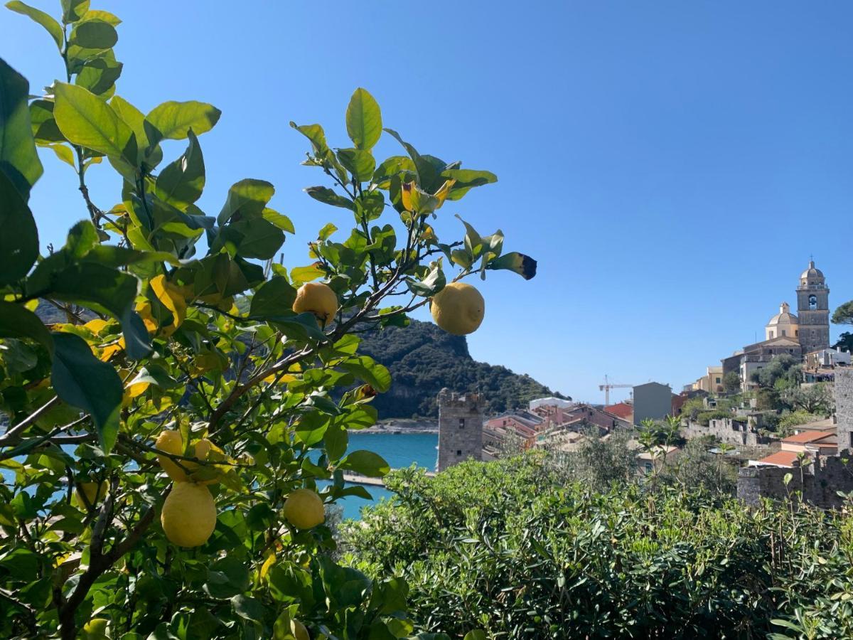 Villa Paolo Lemon Tree 韦内雷港 外观 照片