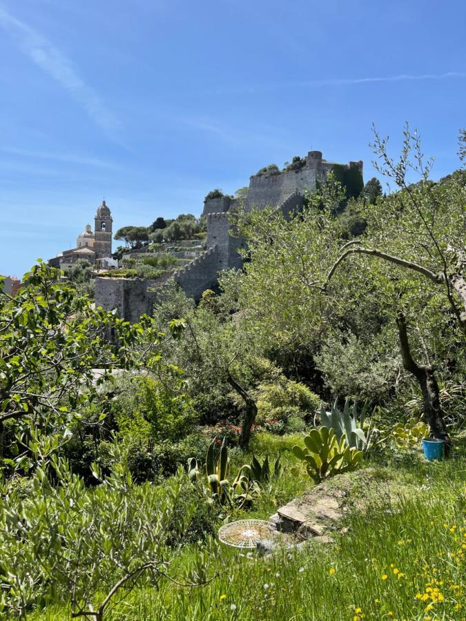 Villa Paolo Lemon Tree 韦内雷港 外观 照片